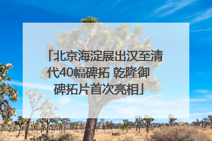 北京海淀展出汉至清代40幅碑拓 乾隆御碑拓片首次亮相