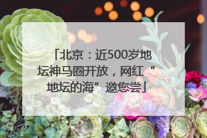 北京：近500岁地坛神马圈开放，网红“地坛的海”邀您尝