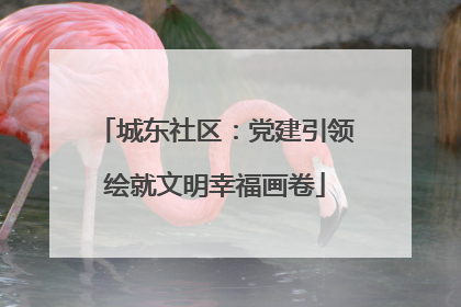 城东社区：党建引领绘就文明幸福画卷
