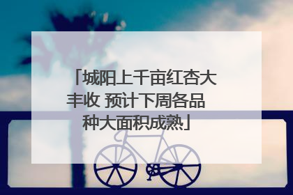 城阳上千亩红杏大丰收 预计下周各品种大面积成熟