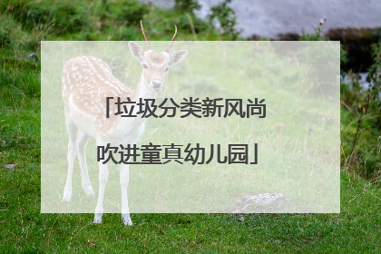 垃圾分类新风尚 吹进童真幼儿园