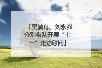 吴毓舟、刘永强分别带队开展“七一”走访慰问