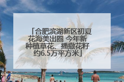 合肥滨湖新区初夏花海美出圈 今年新种植草花、播撒花籽约6.5万平方米