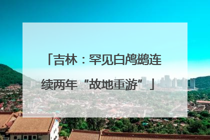 吉林：罕见白鸬鹚连续两年“故地重游”