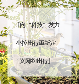 向“科技”发力 小拉出行重新定义网约出行