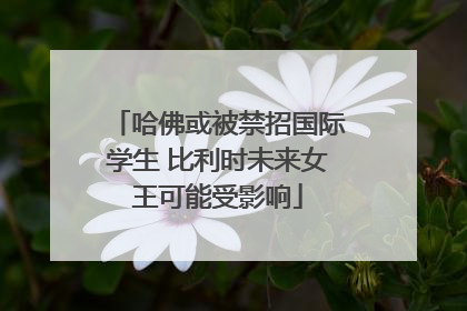 哈佛或被禁招国际学生 比利时未来女王可能受影响