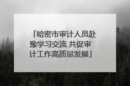 哈密市审计人员赴豫学习交流 共促审计工作高质量发展
