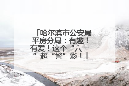 哈尔滨市公安局平房分局：有趣！有爱！这个“六一”超“警”彩！