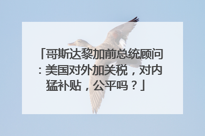哥斯达黎加前总统顾问：美国对外加关税，对内猛补贴，公平吗？