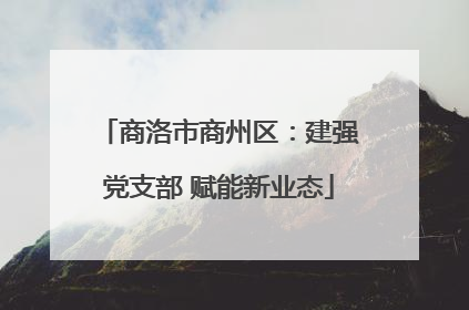 商洛市商州区：建强党支部 赋能新业态