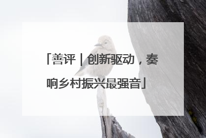 善评｜创新驱动，奏响乡村振兴最强音