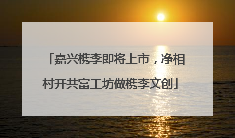嘉兴槜李即将上市，净相村开共富工坊做槜李文创