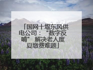 国网十堰东风供电公司：“数字反哺” 解决老人度夏缴费难题