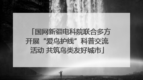 国网新疆电科院联合多方开展“爱鸟护线”科普交流活动 共筑鸟类友好城市