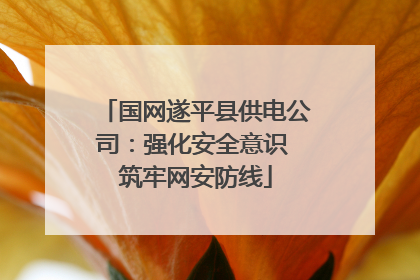 国网遂平县供电公司：强化安全意识 筑牢网安防线