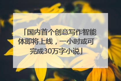 国内首个创意写作智能体即将上线，一小时或可完成30万字小说