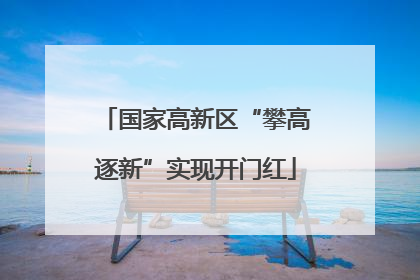 国家高新区“攀高逐新”实现开门红