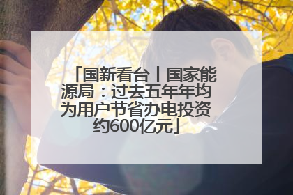 国新看台丨国家能源局：过去五年年均为用户节省办电投资约600亿元