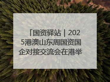 国资驿站｜2025港澳山东周国资国企对接交流会在港举行；山东黄金成功在境外发行3亿美元绿色债券