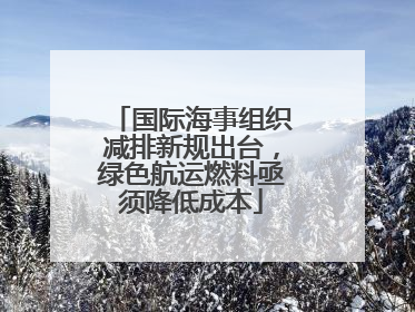 国际海事组织减排新规出台，绿色航运燃料亟须降低成本