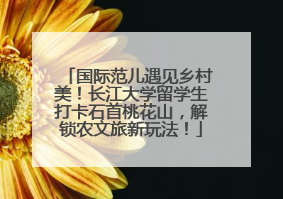国际范儿遇见乡村美！长江大学留学生打卡石首桃花山，解锁农文旅新玩法！