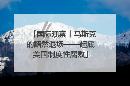 国际观察丨马斯克的黯然退场——起底美国制度性腐败