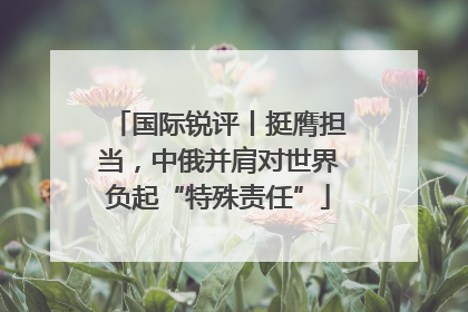 国际锐评丨挺膺担当，中俄并肩对世界负起“特殊责任”
