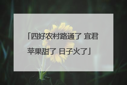 四好农村路通了 宜君苹果甜了 日子火了