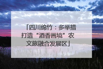 四川绵竹：多举措打造“酒香画境”农文旅融合发展区
