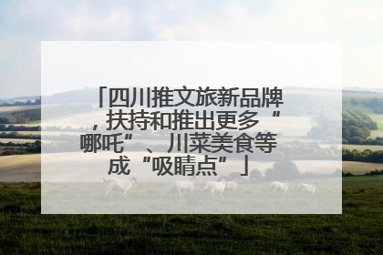 四川推文旅新品牌，扶持和推出更多“哪吒”、川菜美食等成“吸睛点”