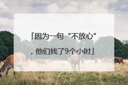 因为一句“不放心”，他们找了9个小时