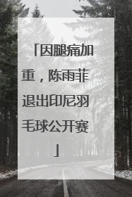 因腿痛加重，陈雨菲退出印尼羽毛球公开赛