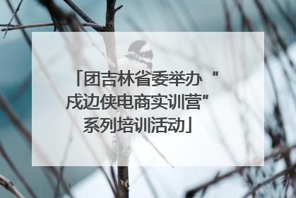 团吉林省委举办“戍边侠电商实训营”系列培训活动