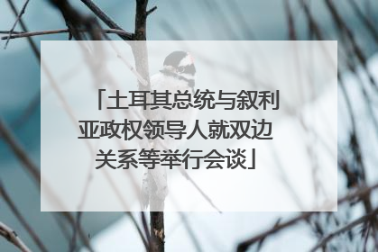 土耳其总统与叙利亚政权领导人就双边关系等举行会谈