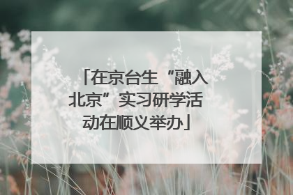 在京台生“融入北京”实习研学活动在顺义举办