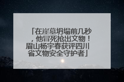 在崖墓坍塌前几秒，他冒死抢出文物！眉山杨宇春获评四川省文物安全守护者
