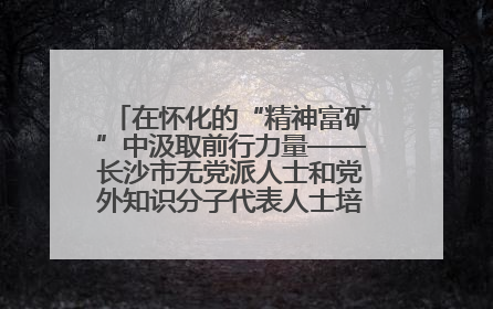 在怀化的“精神富矿”中汲取前行力量——长沙市无党派人士和党外知识分子代表人士培训班在怀化圆满举办