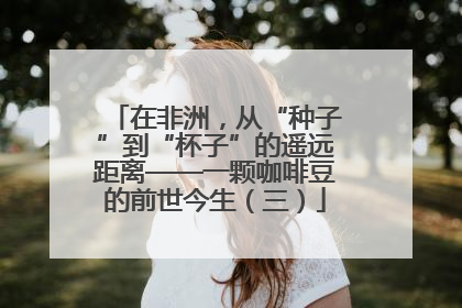 在非洲，从“种子”到“杯子”的遥远距离——一颗咖啡豆的前世今生（三）