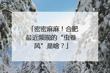 密密麻麻！合肥最近频现的“虫卷风”是啥？