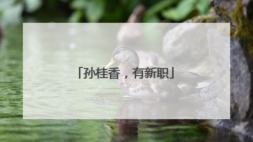 孙桂香，有新职