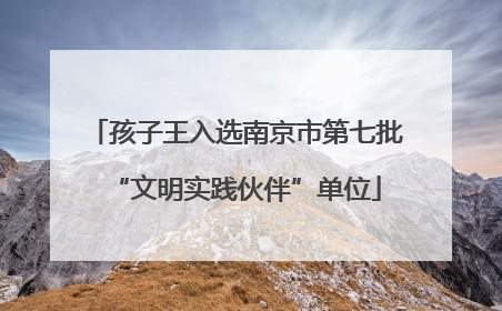 孩子王入选南京市第七批“文明实践伙伴”单位