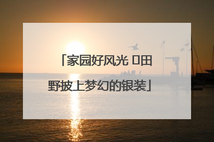 家园好风光 ⎮田野披上梦幻的银装