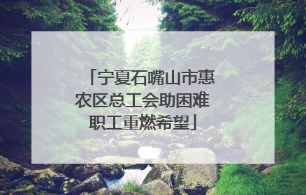 宁夏石嘴山市惠农区总工会助困难职工重燃希望
