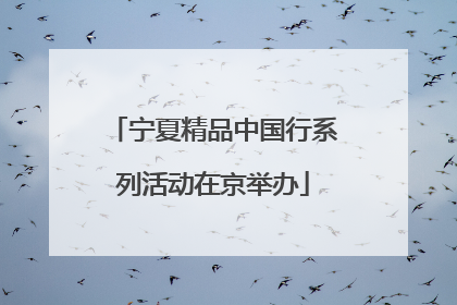 宁夏精品中国行系列活动在京举办