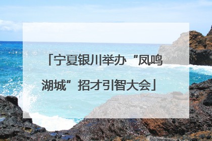 宁夏银川举办“凤鸣湖城”招才引智大会