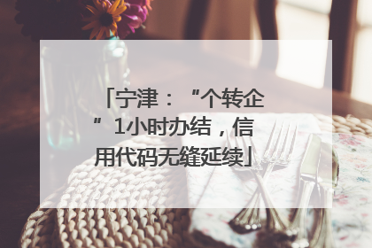 宁津：“个转企”1小时办结，信用代码无缝延续