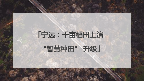 宁远：千亩稻田上演 “智慧种田” 升级
