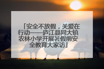 安全不放假，关爱在行动——庐江县同大镇农林小学开展暑假前安全教育大家访