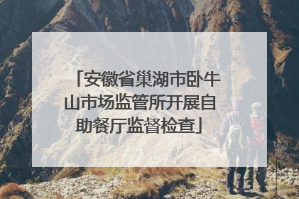 安徽省巢湖市卧牛山市场监管所开展自助餐厅监督检查