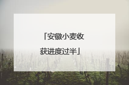 安徽小麦收获进度过半